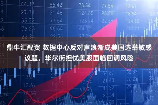 鼎牛汇配资 数据中心反对声浪渐成美国选举敏感议题，华尔街担忧美股面临回调风险